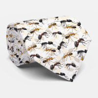 Ants Insects Bugs Creepy Crawly Creatures