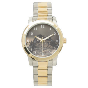 ants kissing watch