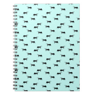 Ants Notebook