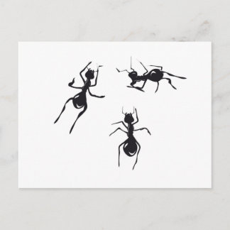 ANTS POSTCARD