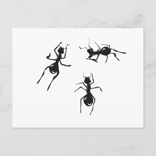 ANTS POSTCARD (Front)