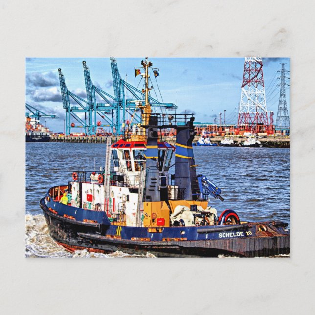 Antwerp, Belgium scenic photograph Postcard (Front)