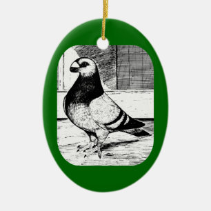 Antwerp Short Faced Pigeon Ceramic Ornament