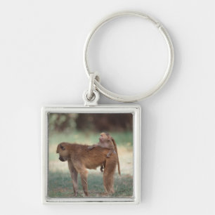 Anubis Baboon Key Ring