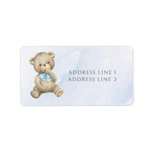 Any age teddy bear boy birthday address  label