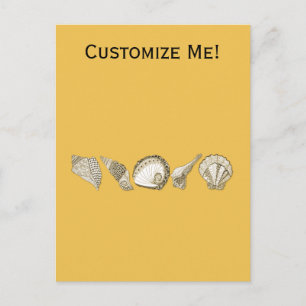 Any Colour Hand Drawn Seashell Collection Postcard