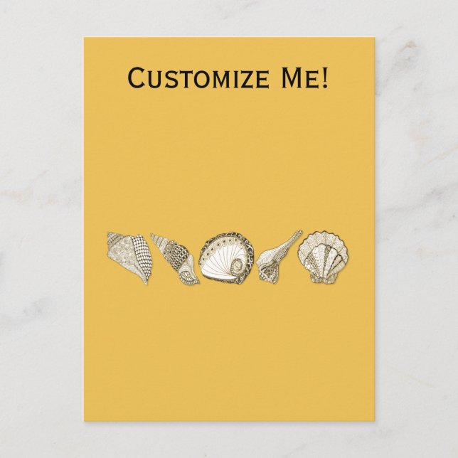 Any Colour Hand Drawn Seashell Collection Postcard (Front)