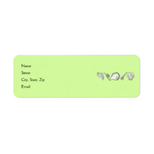 Any Colour Hand Drawn Seashells Return Address Label