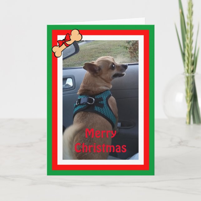 Any Dog Photo Christmas/Holiday Card (Front)