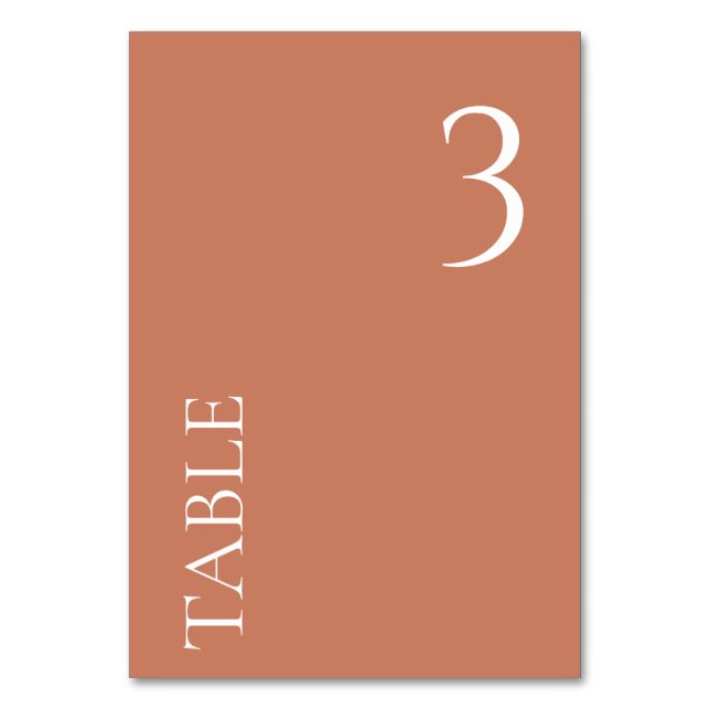 ANY NUMBER Minimal Terracotta Wedding Table Number (Front)