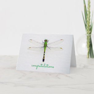 Any Occasion Congratulations with Dragonfly Card