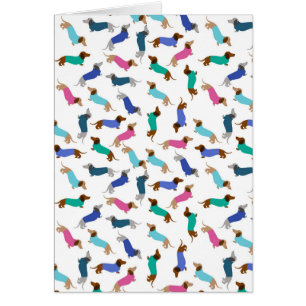 Any Occasion Dachshund Greeting Card
