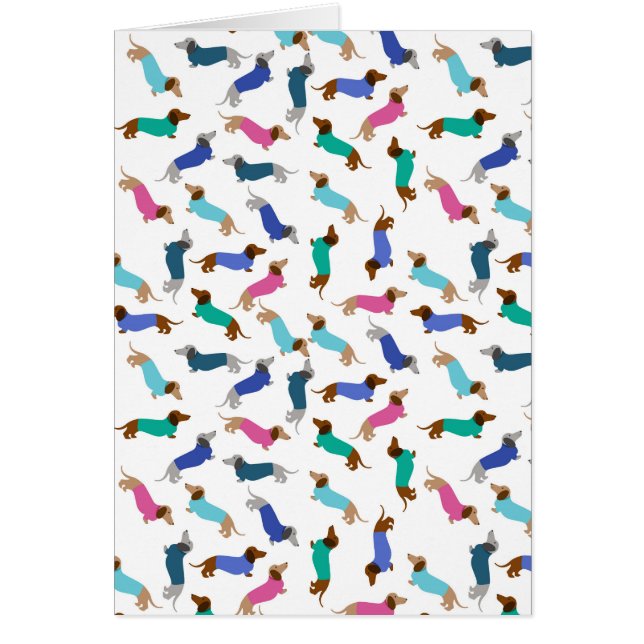 Any Occasion Dachshund Greeting Card (Front)