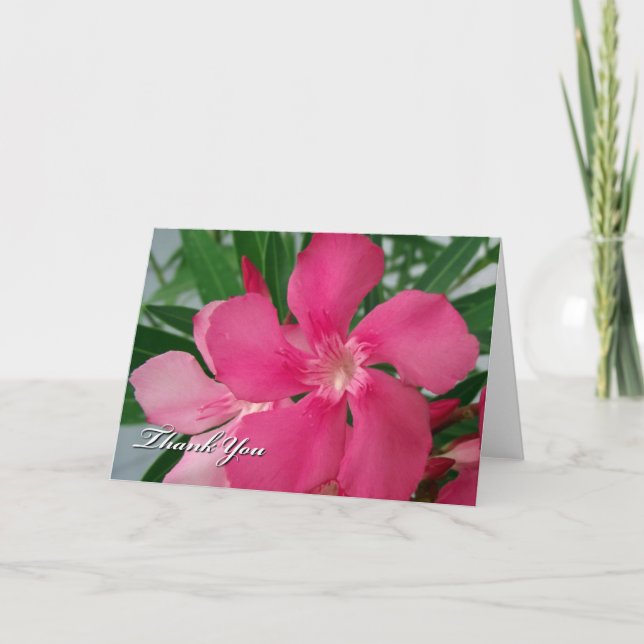 Any Occasion Thank You Pink Oleander Flowers Card (Front)