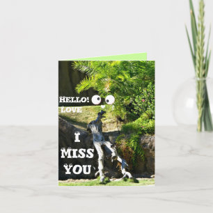 Any Occasions_ Card