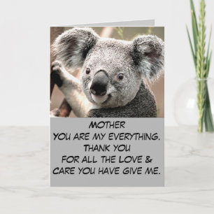 Any Occasions,Koala Bear_ Thank You Card