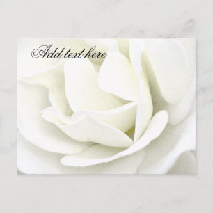 Any Occasions_ Postcard