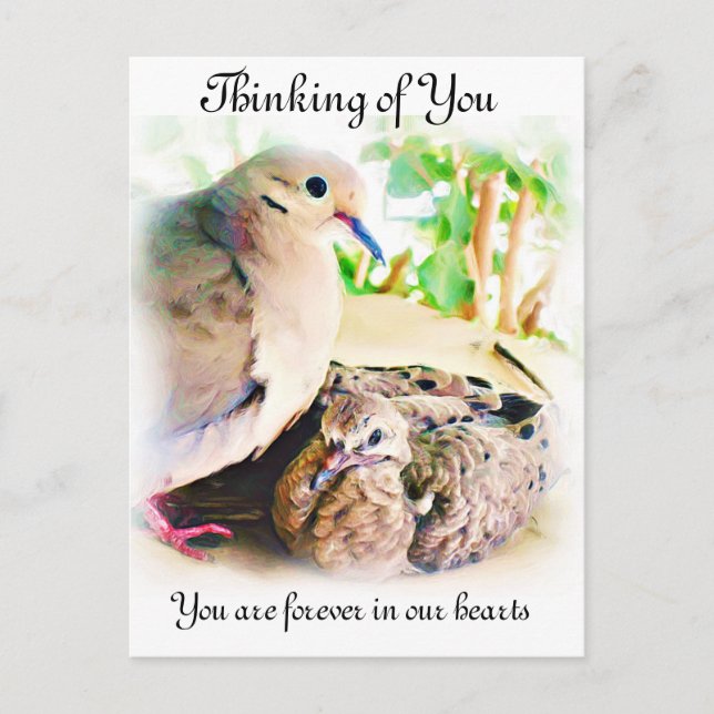 Any-Occasions_ Postcard (Front)