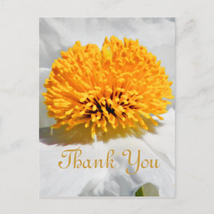Any Occasions_ Postcard