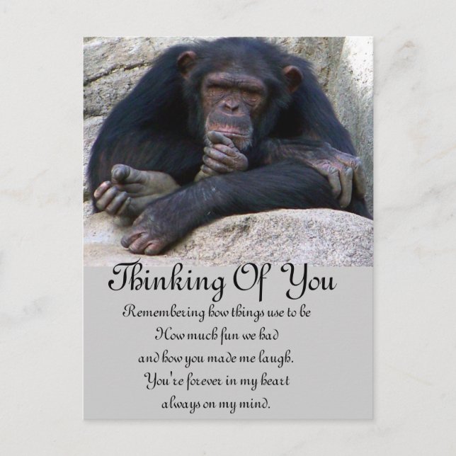 Any Occasions_ Postcard (Front)