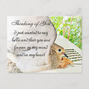 Any-Occasions_ Postcard