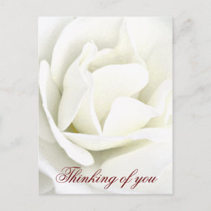 Any Occasions_ Postcard