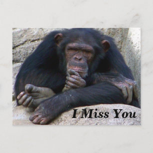 Any Occasions_ Postcard