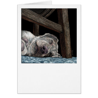 "Any Port for a Nap" Yellow Lab Card