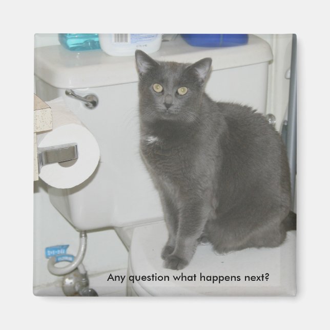 Any question what happens next? magnet (Front)