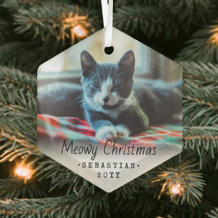 Any Text Meowy Christmas Cat Simple Hexagon Photo Glass Tree Decoration