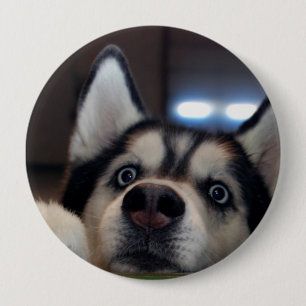 Anybody Out There? 10 Cm Round Badge