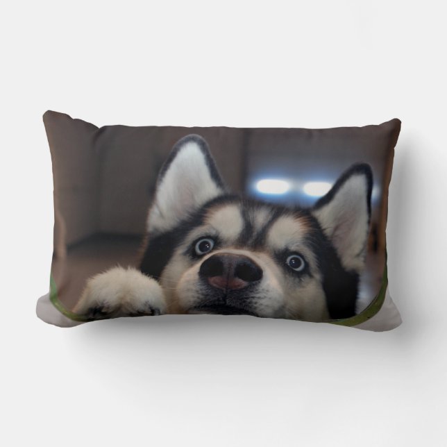 Anybody Out There? Lumbar Cushion (Front)