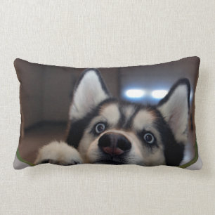 Anybody Out There? Lumbar Cushion