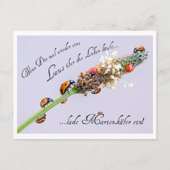 Anyone can use a little bit of extra luck! postcard (Front)