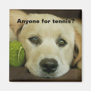 Anyone for tennis, golden retriever. magnet