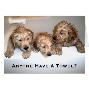 Anyone Have A Towel?