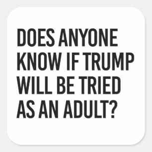 Anyone know if trump will be tried as an adult square sticker
