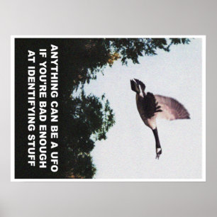 Anything can be a UFO (medium) Poster