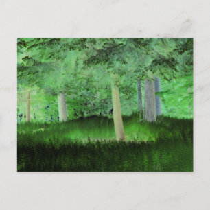 "Anything Could Happen" Magical Transformed Forest Postcard