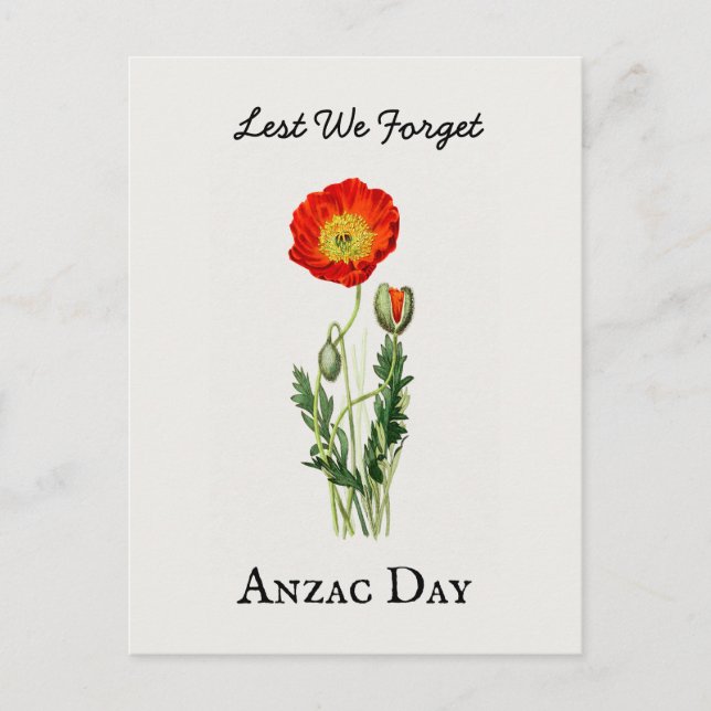 Anzac day poppy vintage remembrance memorial postcard (Front)