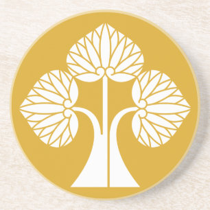 Aoi Toyori Coaster