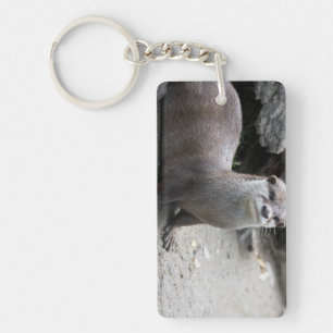 Aonyx cinerea key ring