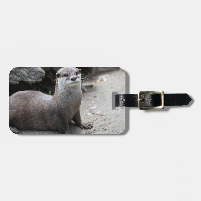 Aonyx cinerea luggage tag (Front Horizontal)