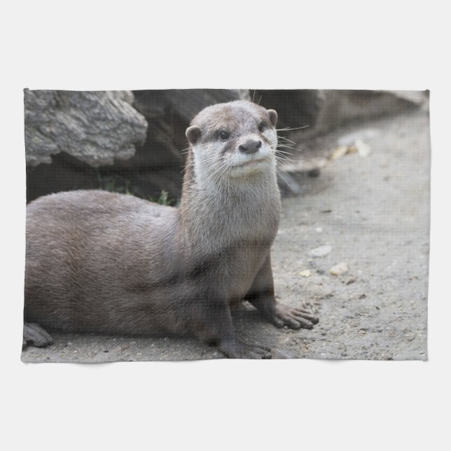 Aonyx cinerea tea towel (Horizontal)