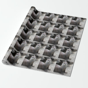 Aonyx cinerea wrapping paper