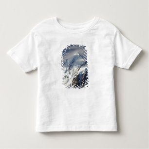 Aoraki Mount Cook, Mackenzie Country, South Toddler T-Shirt