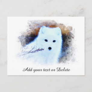 *~* AP18 Trwig Snow Fox White Fox Arctic Polar Postcard