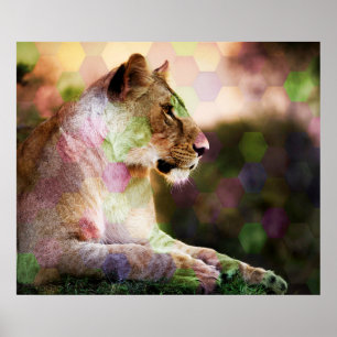 *~* AP23 Artistic RAINBOW Abstract LIONESS Art Poster