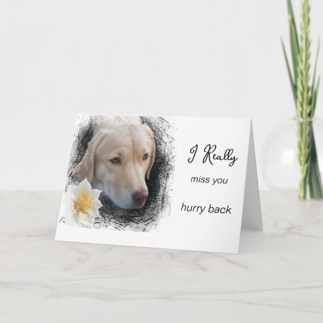 *~  AP61 Flower Miss You - Sad Dog Card (Front)