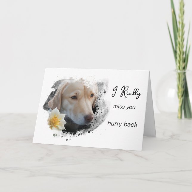 *~ AP61 Sad Lab Retriever Flower Miss You Hurry Card (Front)